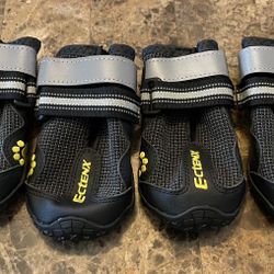 Dog Shoes  #6   2.9x2.5