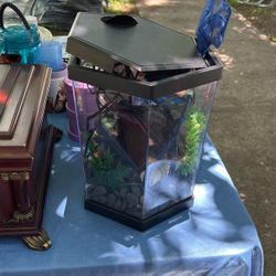 Hexagon Aquarium 2 Gallon 