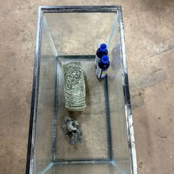20g Fish Tank 