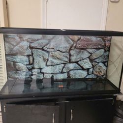 Fish Tank