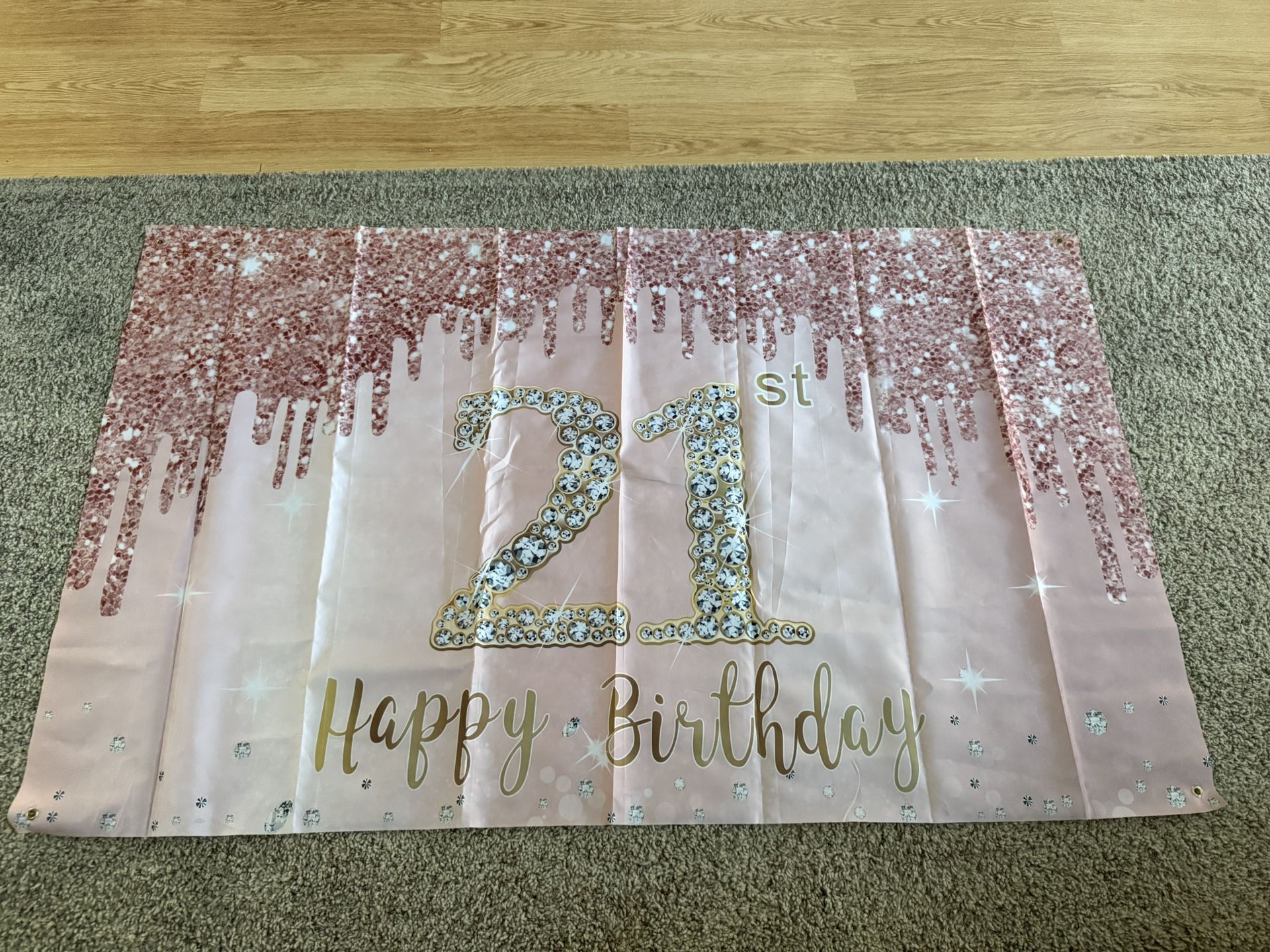 21st Birthday banner