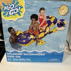 Splashin Salamander Ride On Pool Float NEW