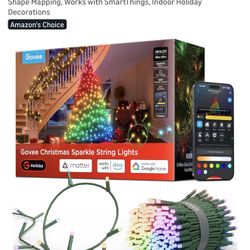 Govee Christmas Sparkle String Lights 66ft, RGBWIC String Lights with 250 Bullet-Head LEDs, App-Controlled, 140+ Scene Modes, 3D Shape Mapping, Works 