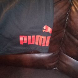 Puma sweatpants shorts 