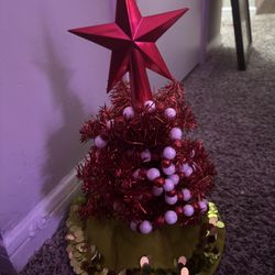 A witle Bity Tiny Tree :)