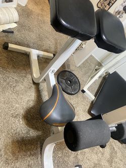 Roman chair Heavy Duty