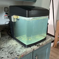 Biocube 8 Gallon Fish tank