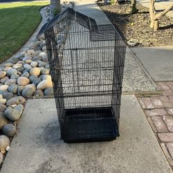 Bird Cage