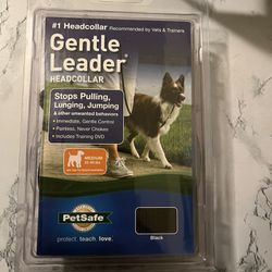 Gentle leader / Pet safe / Dog Walking / Training 