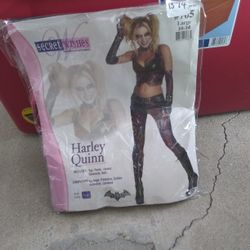 Harley Quinn Costume