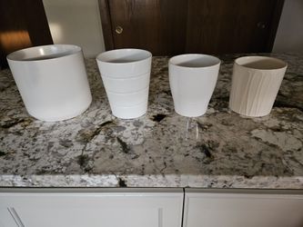Plant Pots