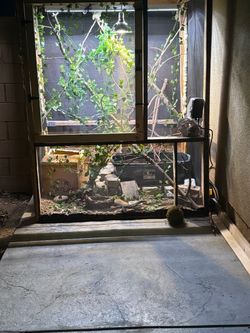 Reptile cage
