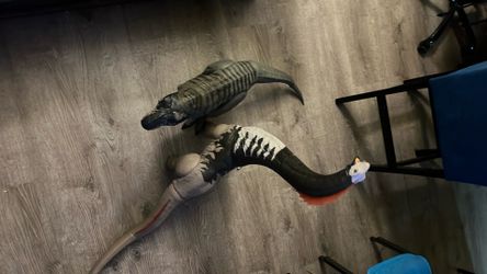 Dinosaurs