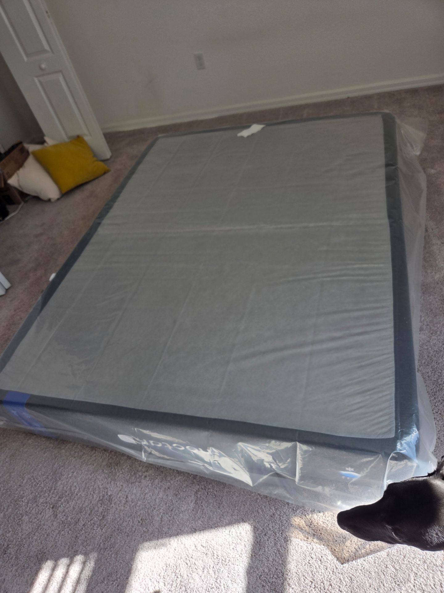 Queen nectar mattress