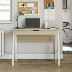 Computer Desk with Drawer, Pale Oak