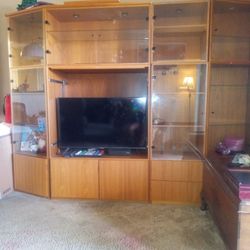 Entertainment Center/Display Case