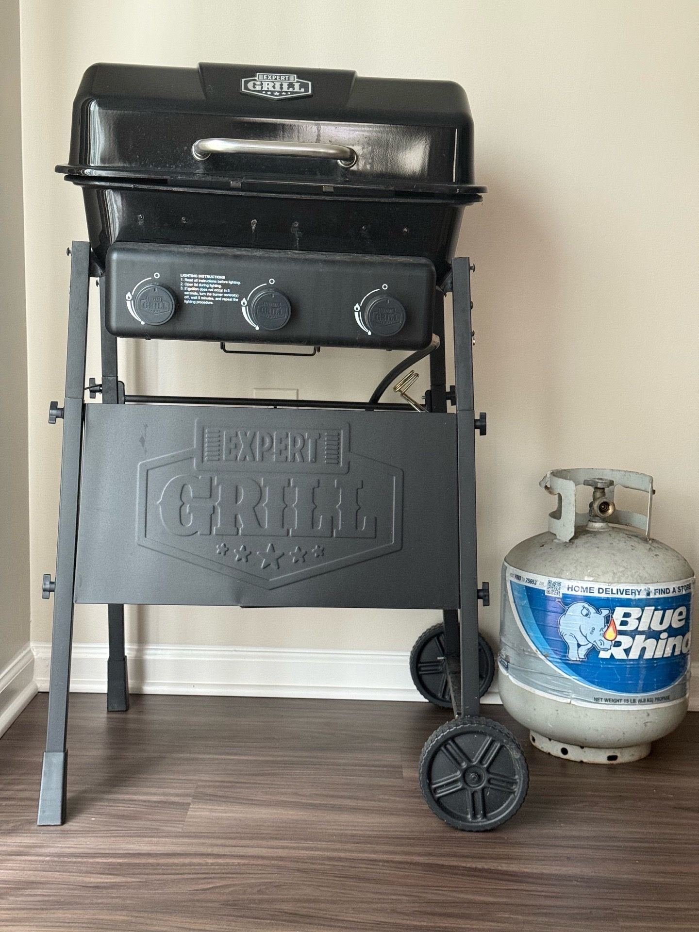 Expert Grill Propane BBQ Grill ā Excellent Condition