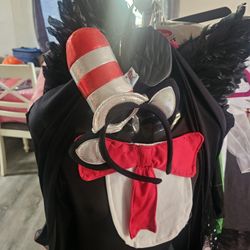 Cat In The Hat