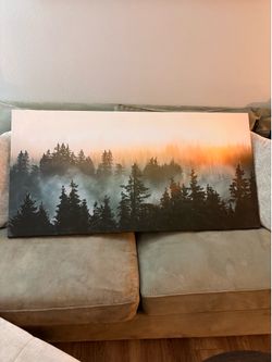 Forest Canvas Photo