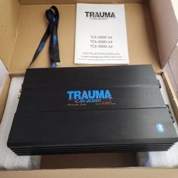 TRAUMA AUDIO AMPLIFIER --- $275