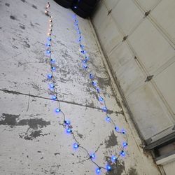 Christmas Lights Multi Color/ Setting Remote Control 