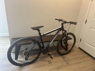29" Diamondback Overdrive Mountain Bike (Needs Tires) - $150