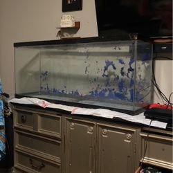 55 Gallon Tank 