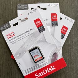 SanDisk Ultra 256gb SD 