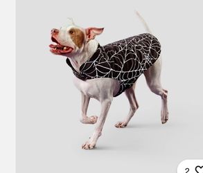 Boots & Barkley SZ M Reflective Spiderweb Dog Vest Halloween Safety Pet Costume