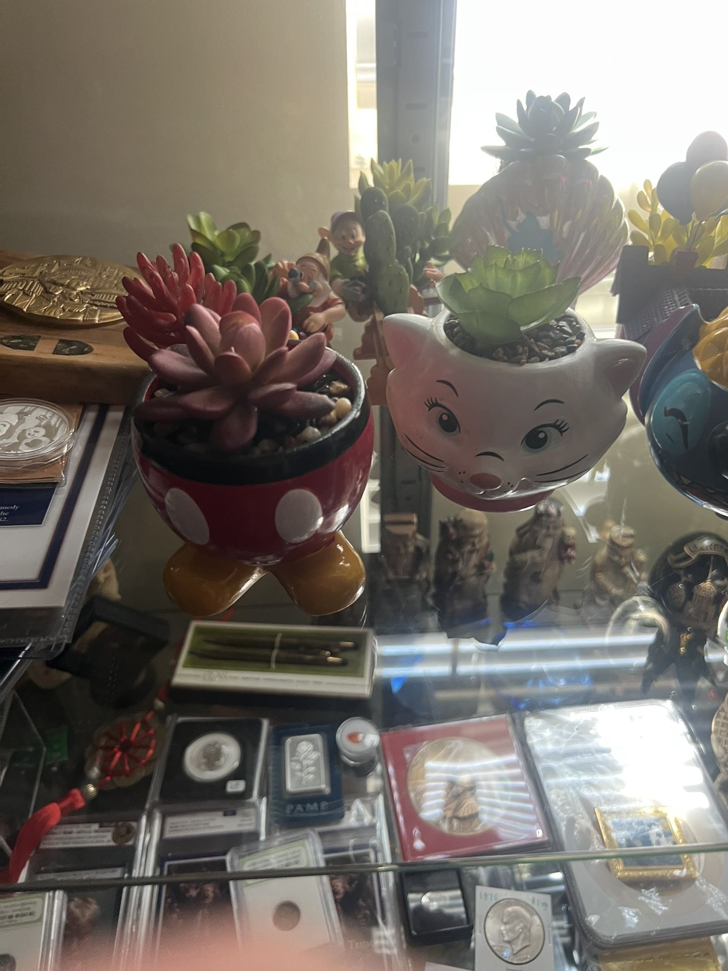 A Lot Of Plants