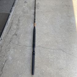 Penn International 6’ Rod
