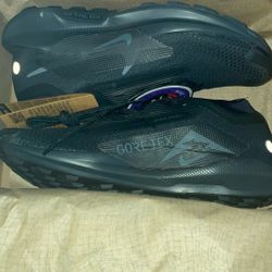 Nike Pegasus Trail 5 GTX