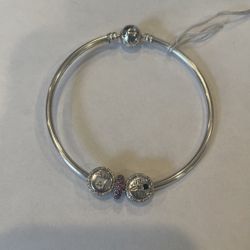 Pandora Braclet with Charms