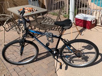 Old Roadmaster Bike (BUYER TO COLLECT)