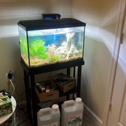 20 Gallon Fish Tank