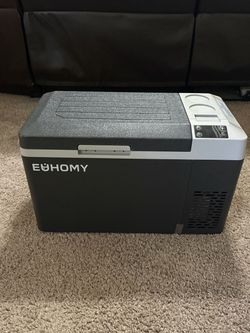 Electric cooler