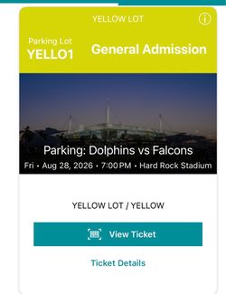 Miami Dolphins parking