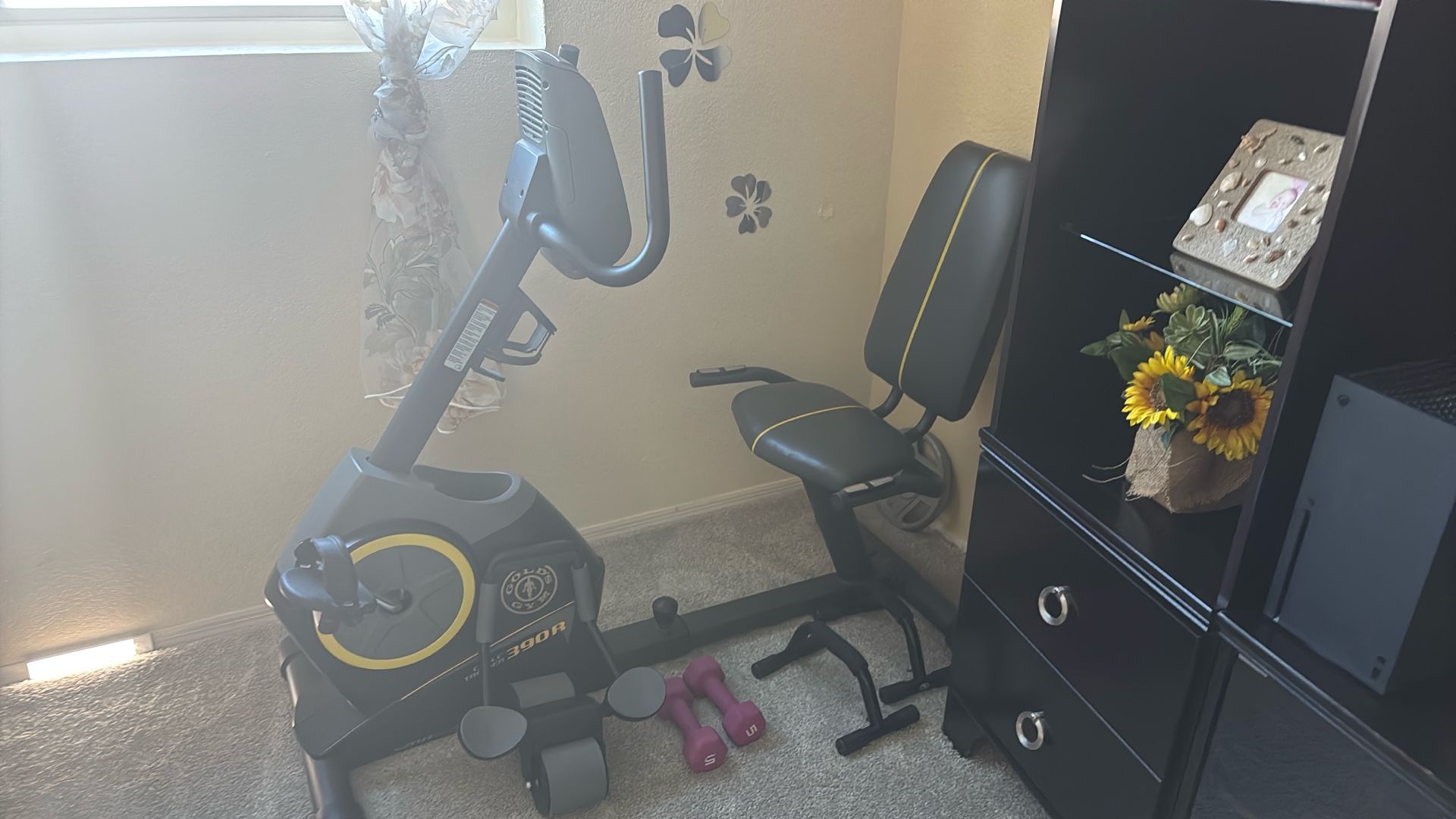 Exercise Bike