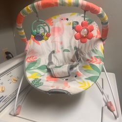 Baby Bouncer...Pls Read Description 