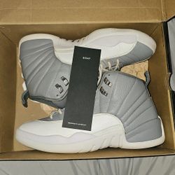 Air Jordan 12 Retro Stealth