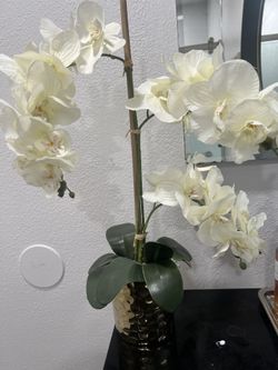Orquídea