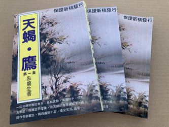 天蠍 鷹 臥龍生 武俠小說 Chinese Kung Fu Wuxia Story Books