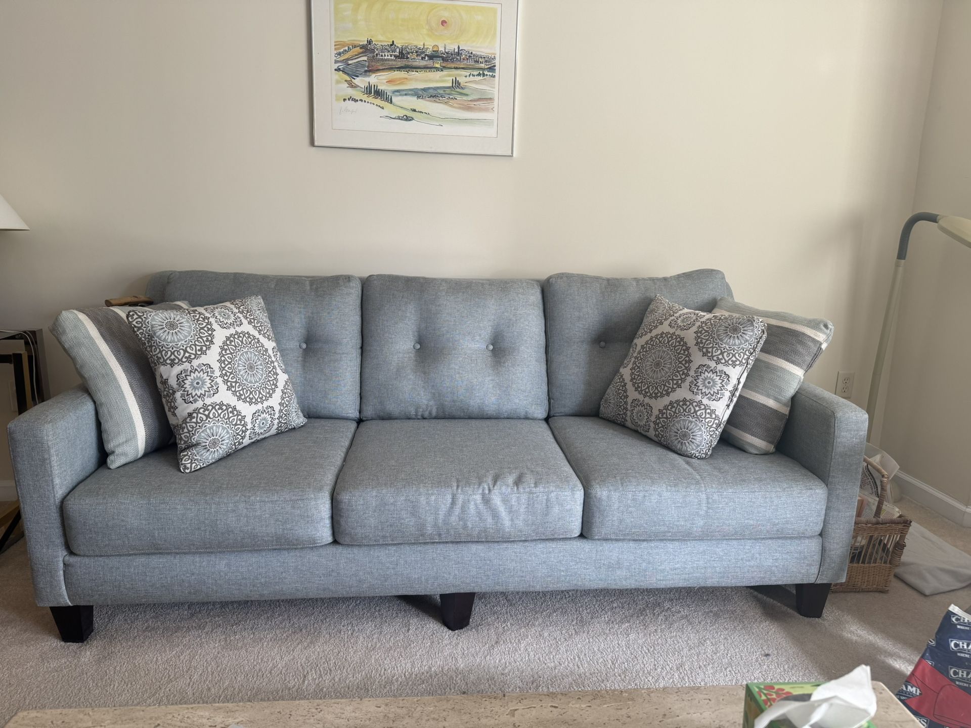 Saige Chenille Sofa