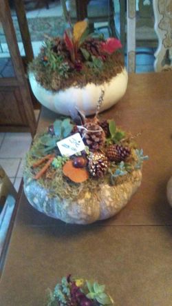 Charming Fall Decorative Pumpkins with succulents