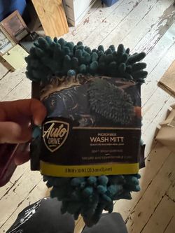Washing Mitt