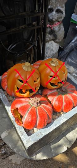 Halloween items