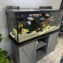 75gal Fish Tank Aquarium With Stand. Perfect Condition.