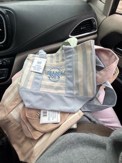 Mini canvas tote bag stripes new Trader Joe’s bag