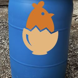 Bulk Chicken Feed All Flock & Layer Feed 