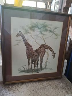 Giraffe picture